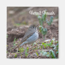 Search for hermit magnets Wildlife