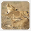 Search for carefree stickers Nature