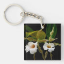 Search for orchids pictures key rings Hybrid orchid