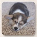 Search for corgi coasters Puppy