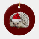 Search for hedgehog christmas tree decorations Xmas