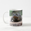 Search for toad mugs Amphibian