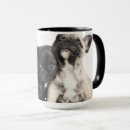 Search for adorable pug mugs Puppy