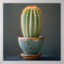 Search for barrel photography Cacti