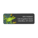 Search for frogs return address labels Tree frog
