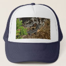 Search for lizard hats Dragon