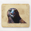 Search for juvenile mouse mats Raptor