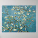 Search for van gogh almond blossom posters Flowers