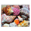 Search for seashell office supplies Seaside
