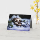 Search for remains cards Skeleton