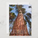 Search for ancient thank you cards Redwood