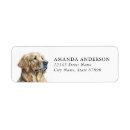 Search for golden retrievers return address labels Cute