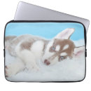 Search for husky laptop cases Dog