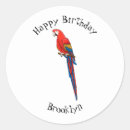 Search for macaw parrot stickers Pet