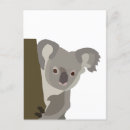 Search for koala postcards Illustration