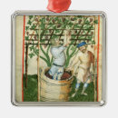 Search for gathering christmas tree decorations Wine