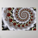 Search for nautilus posters Spiral