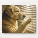 Search for golden retriever mouse mats Dog