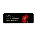 Search for gerber return address labels Daisies