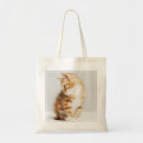 Search for studio shot bags Cat