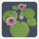 Search for lily square stickers Dragonfly