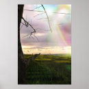 Search for feild Photography