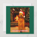 Search for dog jokes cards Dogs