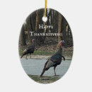 Search for wild turkey christmas tree decorations Thanksgiving