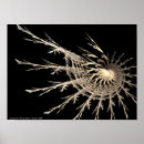 Search for kelli posters Abstract
