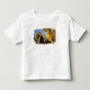 Search for chimera clothing Stone