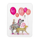 Search for glamorous magnets Zebra
