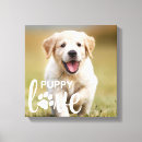 Search for puppy canvas prints Dog
