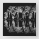 Search for zebra gifts Animal