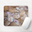 Search for piles mouse mats Pet