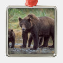 Search for sowing christmas tree decorations Baby