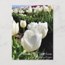 Search for dewdrops postcards Flowers