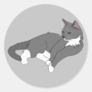 Search for grey and white cat stickers Tuxedo