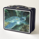 Search for sea turtle lunch boxes Blue
