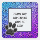 Search for blue paw stickers Veterinarian