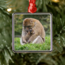 Search for monkey christmas tree decorations Macaque