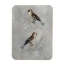 Search for aviary magnets Perched