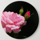 Search for bud badges Rose