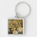 Search for panthera key rings Animal