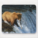 Search for brooks mouse mats Alaska