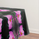 Search for colorful pattern photography Abstract