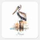 Search for pelicans stickers Florida