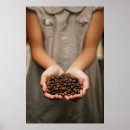 Search for aroma posters Coffee