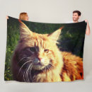 Search for ear blankets Cat