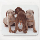 Search for innocence mouse mats Close up