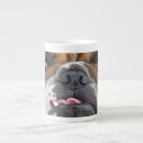 Search for english china mugs Dog